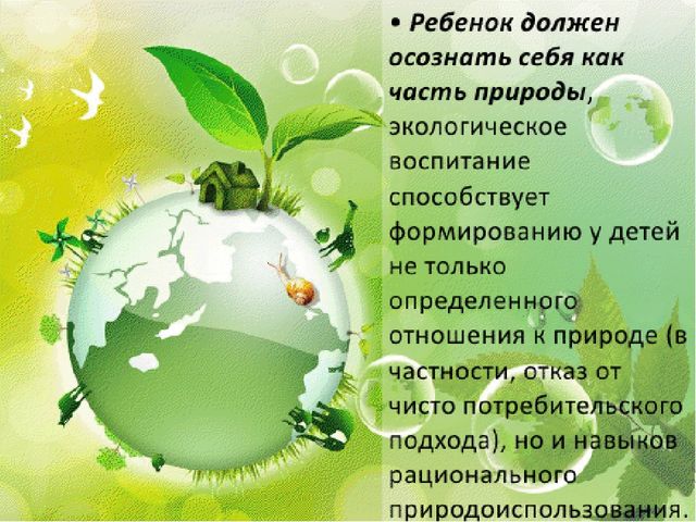 Презентация по самообразованию «Игры и эксперименты, как средство экологического воспитания дошкольников»