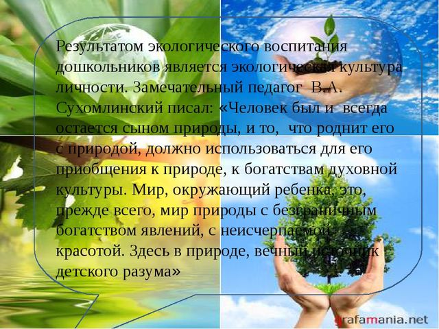 Презентация по самообразованию «Игры и эксперименты, как средство экологического воспитания дошкольников»