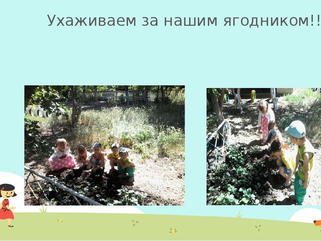 Презентация Дошкольное воспитание"Наше лето"