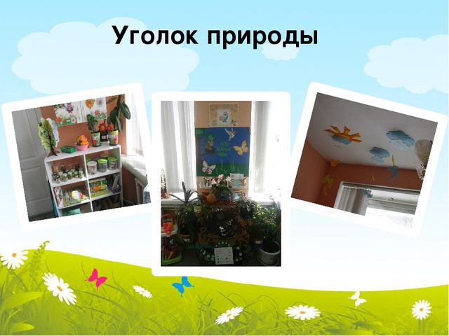 Презентация по организации предметно-развивающей среды в подготовительной группе ДОУ.