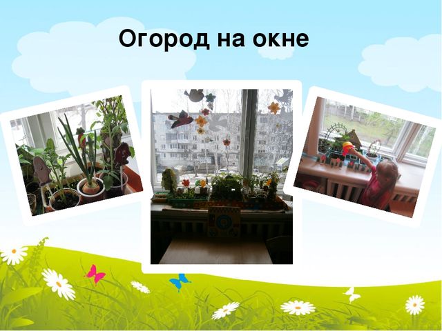 Презентация по организации предметно-развивающей среды в подготовительной группе ДОУ.