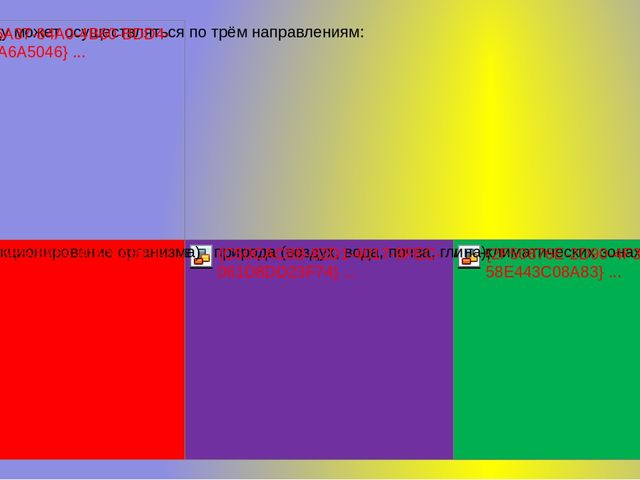 Презентация "Поддьяков Николай Николаевич. Детское экспериментирование, как ведущая деятельность детей дошкольного возраста."