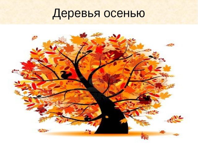 Презентация " Осень" ( старшая группа)