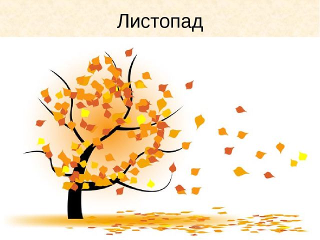 Презентация " Осень" ( старшая группа)