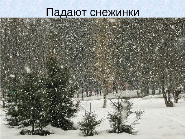 Презентация " Зима" ( старшая группа).