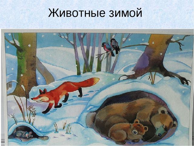 Презентация " Зима" ( старшая группа).