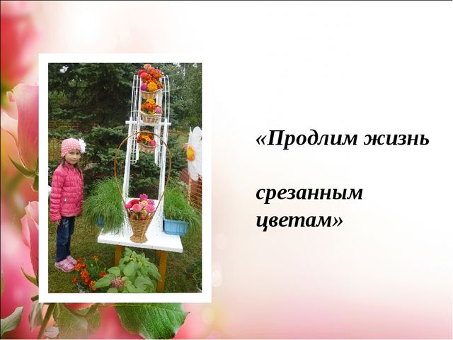 Проект.Тема: «Как продлить жизнь срезанным цветам»