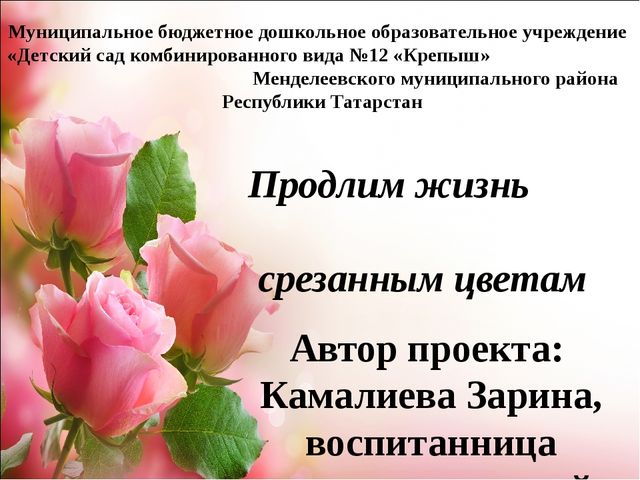 Проект.Тема: «Как продлить жизнь срезанным цветам»