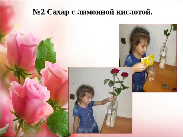 Проект.Тема: «Как продлить жизнь срезанным цветам»