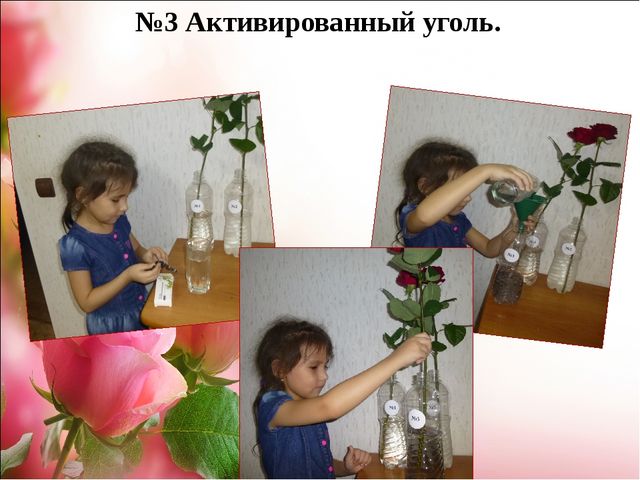 Проект.Тема: «Как продлить жизнь срезанным цветам»