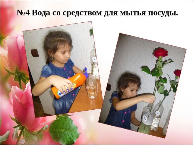 Проект.Тема: «Как продлить жизнь срезанным цветам»