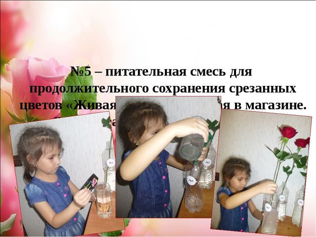 Проект.Тема: «Как продлить жизнь срезанным цветам»
