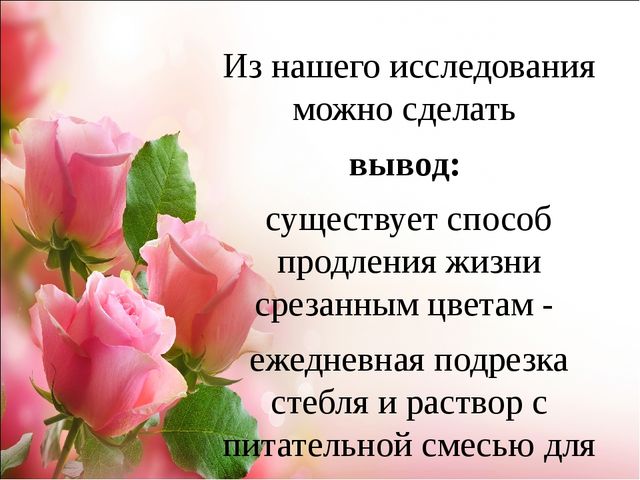 Проект.Тема: «Как продлить жизнь срезанным цветам»