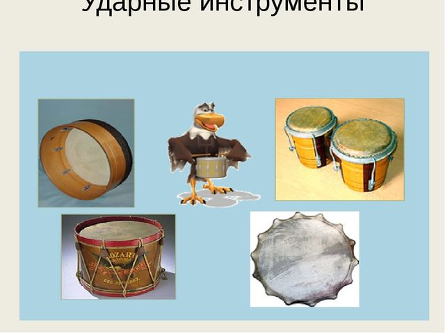 Презентация "Мы старшая группа"