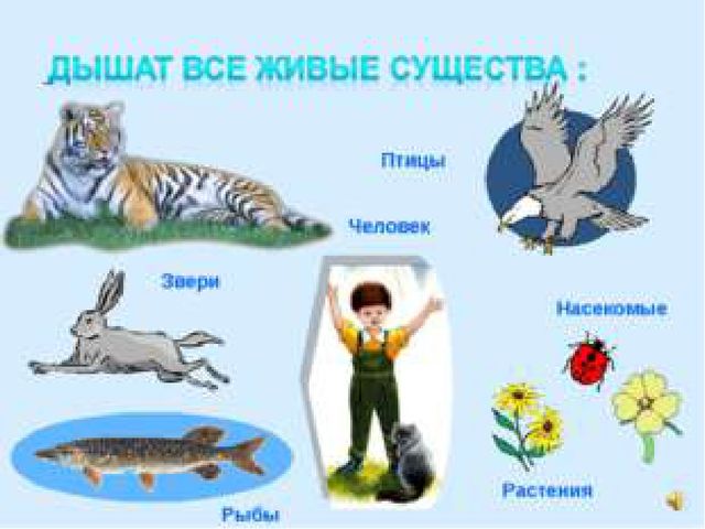 Презентация к конспекту "Удивительные свойства воздуха"