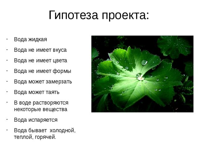 Презентация пректа "Выявление свойств воды" в старшей группе