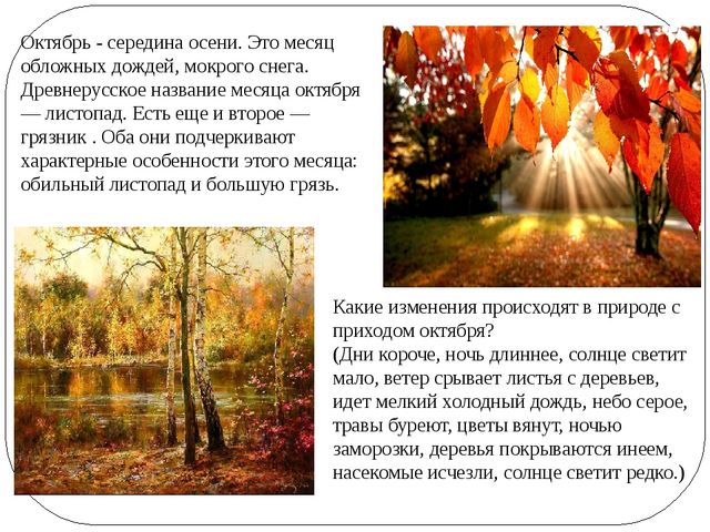 Презентация по ознакомлению с окружающем из серии "Времена года"- "Октябрь"