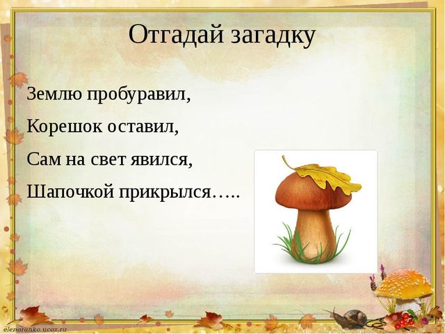 Презентация на тему: В.Сутеев "Под грибом"