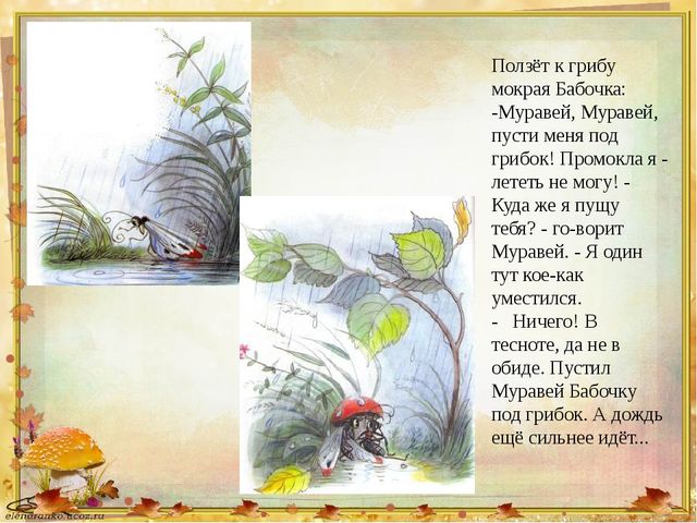 Презентация на тему: В.Сутеев "Под грибом"
