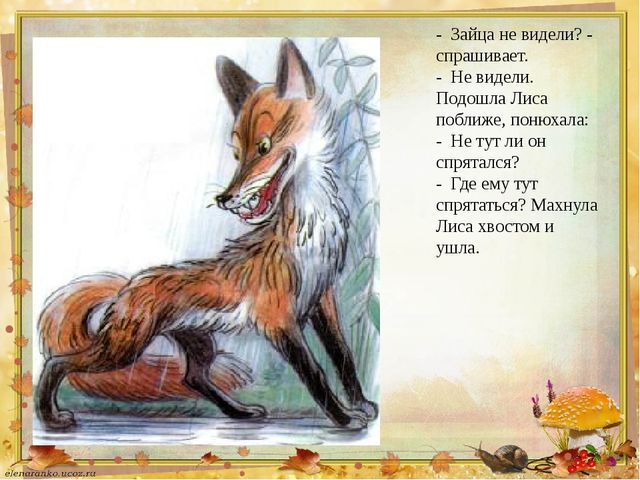 Презентация на тему: В.Сутеев "Под грибом"