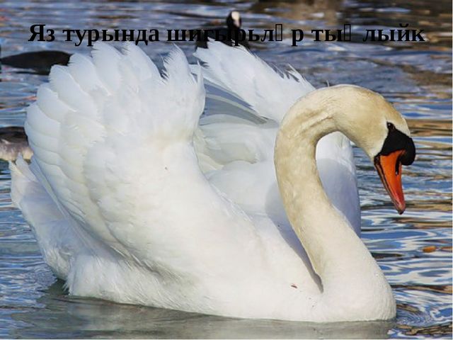 Презентация по обучению детей родному языку "Весеняя головоломка"