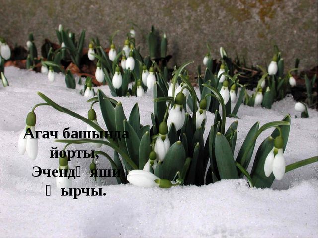 Презентация по обучению детей родному языку "Весеняя головоломка"