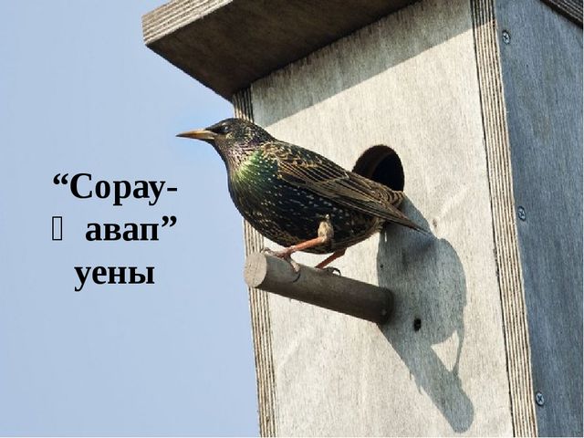 Презентация по обучению детей родному языку "Весеняя головоломка"