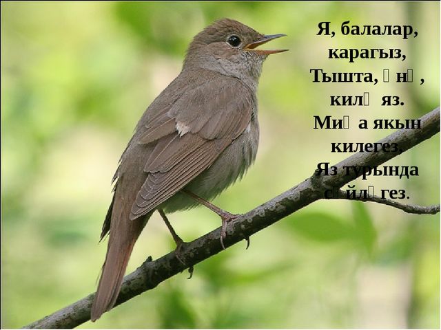 Презентация по обучению детей родному языку "Весеняя головоломка"