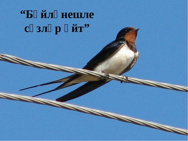 Презентация по обучению детей родному языку "Весеняя головоломка"