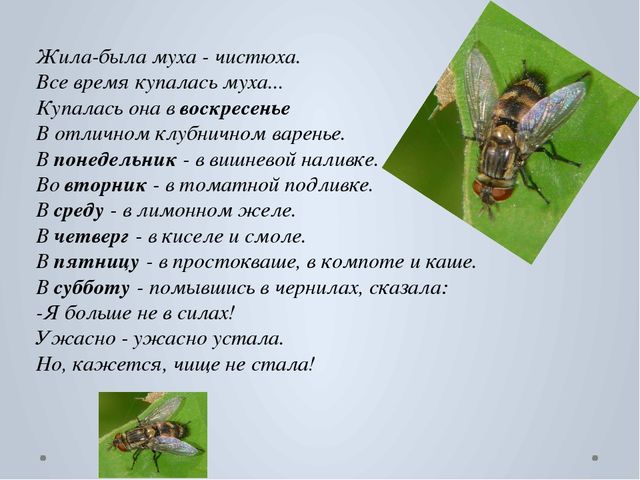 Занятие для дошкольников "Сколько дней в недели?"