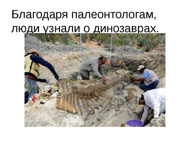 Презентация проекта "В мире динозавров"