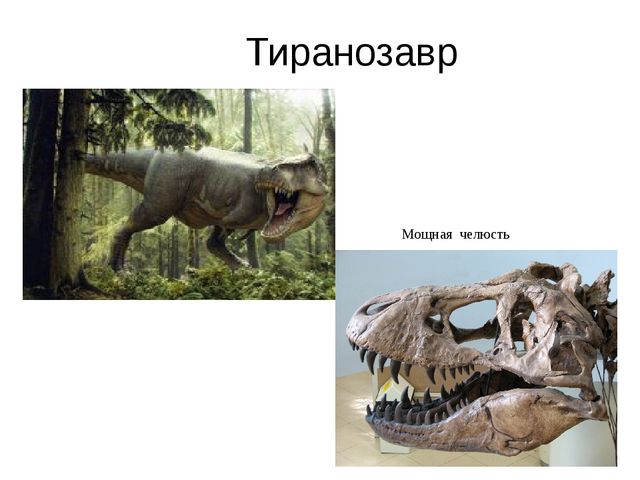 Презентация проекта "В мире динозавров"