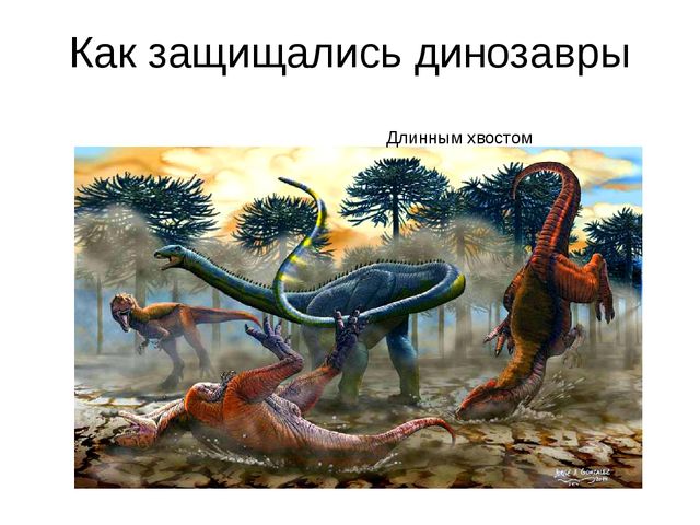 Презентация проекта "В мире динозавров"