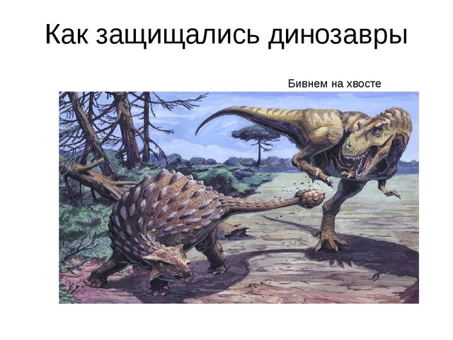 Презентация проекта "В мире динозавров"