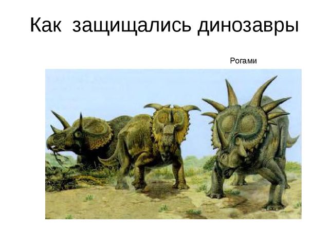 Презентация проекта "В мире динозавров"