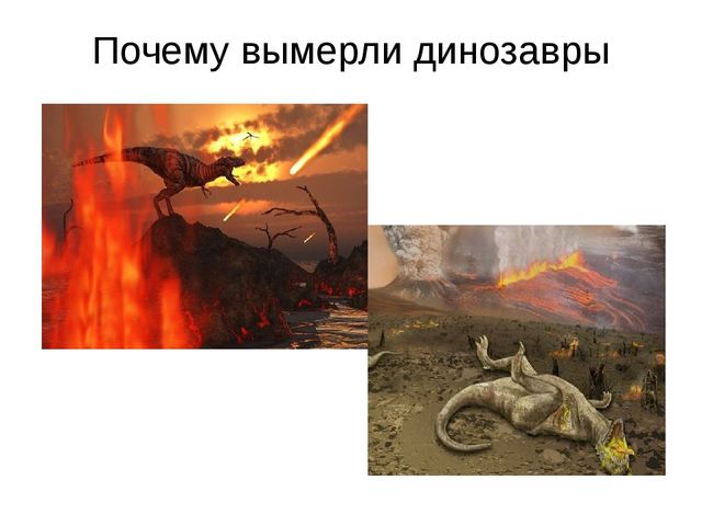 Презентация проекта "В мире динозавров"