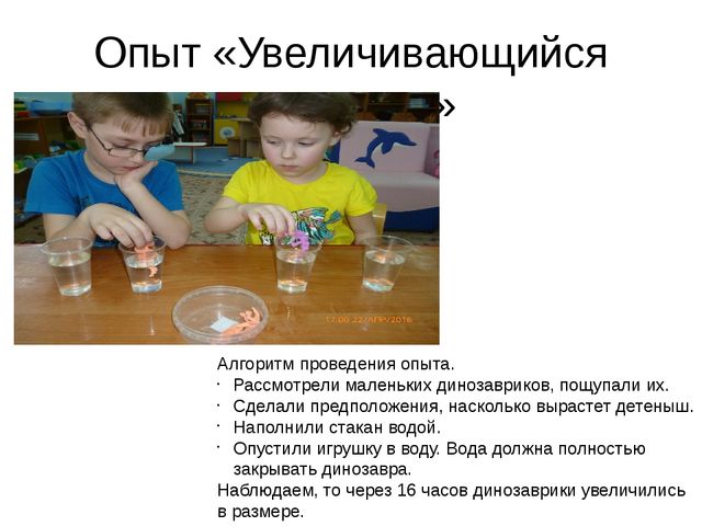 Презентация проекта "В мире динозавров"