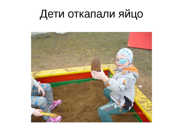 Презентация проекта "В мире динозавров"