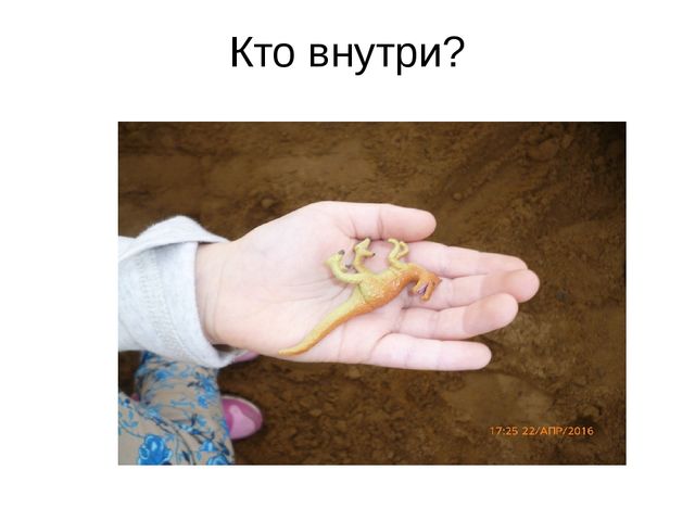 Презентация проекта "В мире динозавров"
