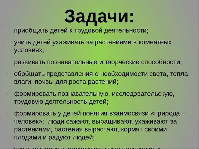ПРЕЗЕНТАЦИЯ ПО ЭКОЛОГИИ : "ОГОРОД НА ОКНЕ"