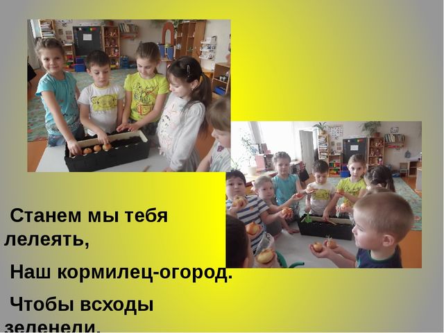 ПРЕЗЕНТАЦИЯ ПО ЭКОЛОГИИ : "ОГОРОД НА ОКНЕ"