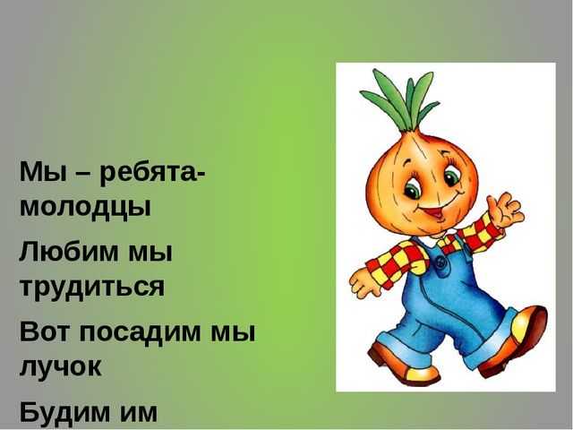 ПРЕЗЕНТАЦИЯ ПО ЭКОЛОГИИ : "ОГОРОД НА ОКНЕ"