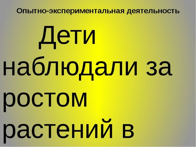 ПРЕЗЕНТАЦИЯ ПО ЭКОЛОГИИ : "ОГОРОД НА ОКНЕ"