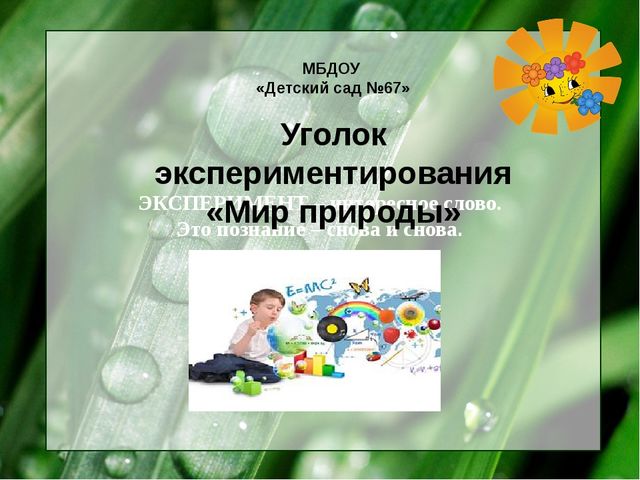 Презентация уголка экспериментирования "Мир природы"