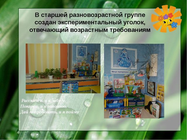 Презентация уголка экспериментирования "Мир природы"