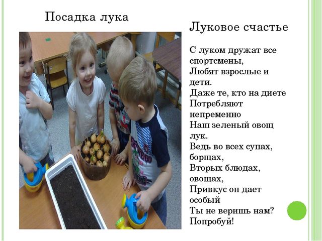 Проект "Огород на подоконнике"