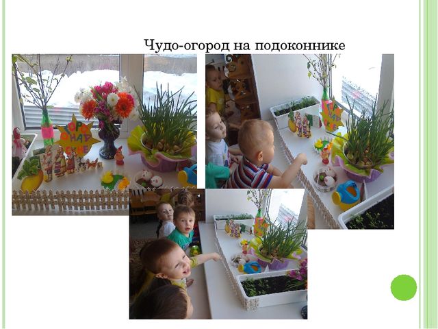 Проект "Огород на подоконнике"