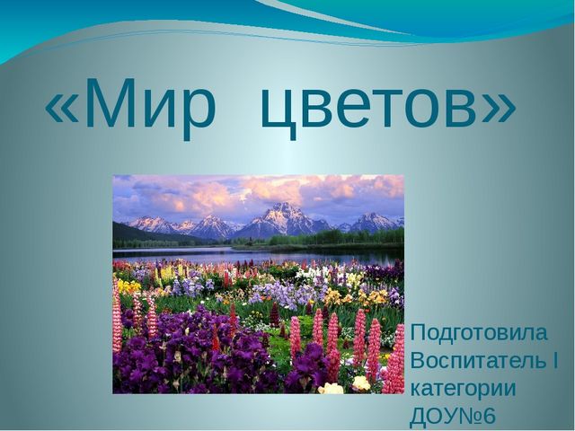 Презентация "Мир цветов" (ознакомление дошкольников с природой)