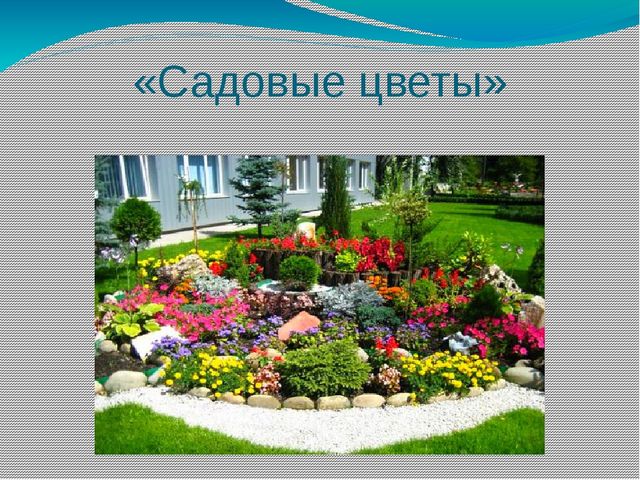 Презентация "Мир цветов" (ознакомление дошкольников с природой)