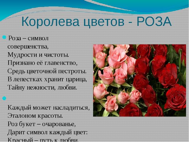 Презентация "Мир цветов" (ознакомление дошкольников с природой)
